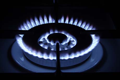 Gas Flame Single Burner